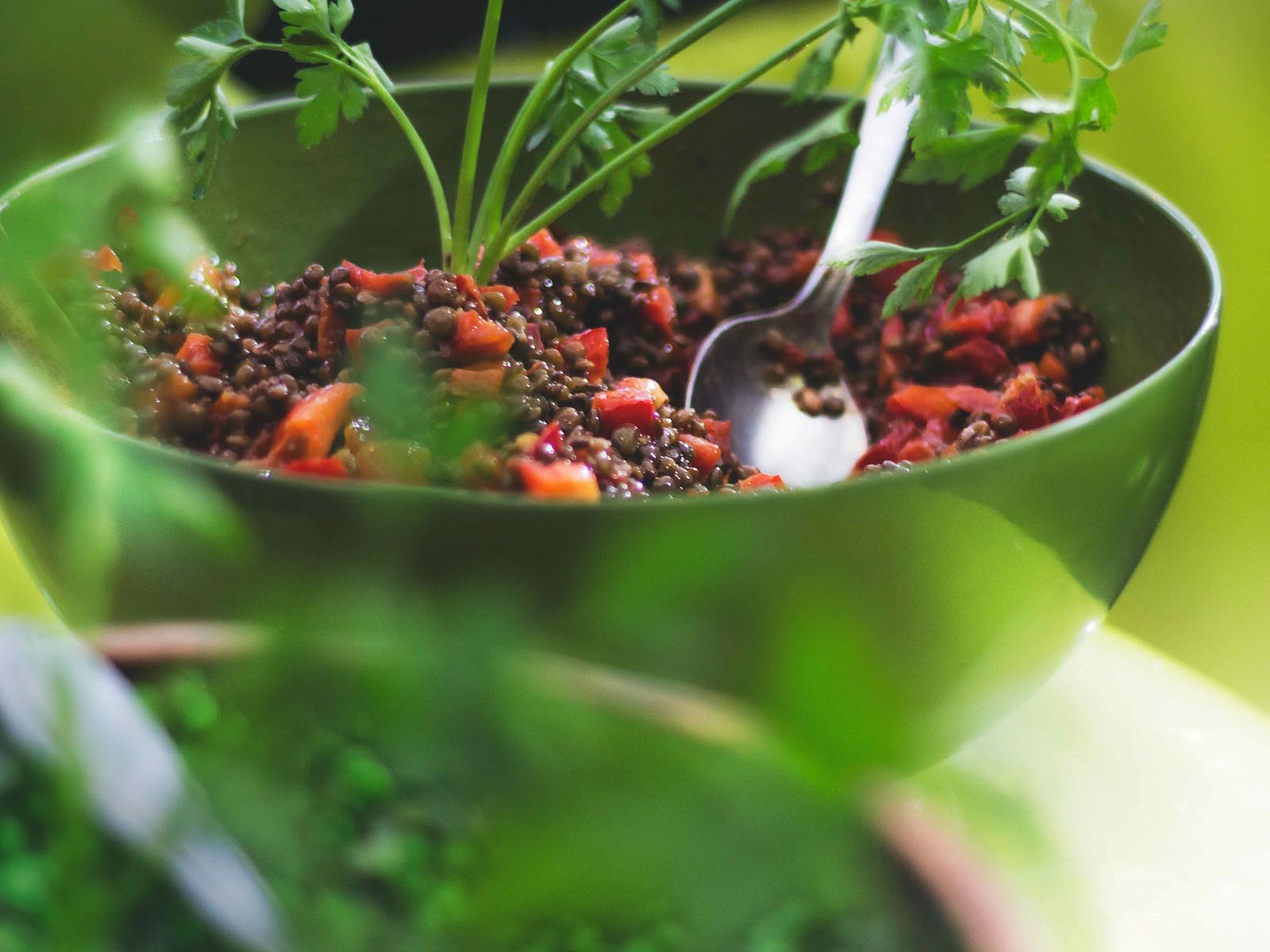 Quinoa_Miska