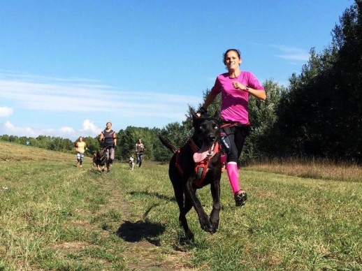 Cvite.sk - Speed4dogs