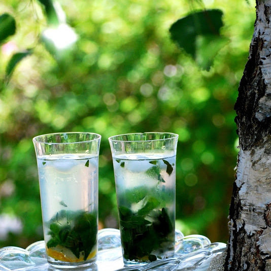 Mtovo-medovkov limonda